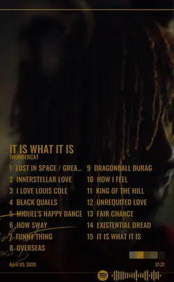 Thundercat - It Is What It Is.jpg